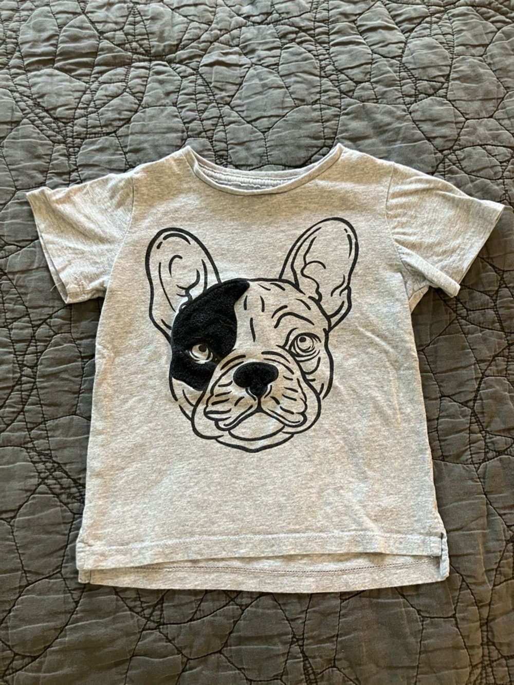 Cotton On Kids Gray Short Sleeve Tee with French Bulldog Graphic size 4T